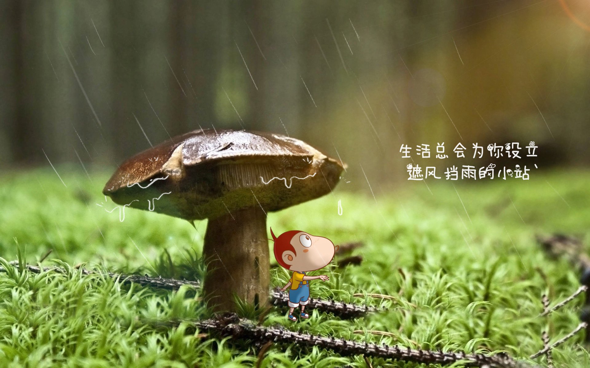 国足集训营启用人工智能辅助训练，2021年国足集训地点
