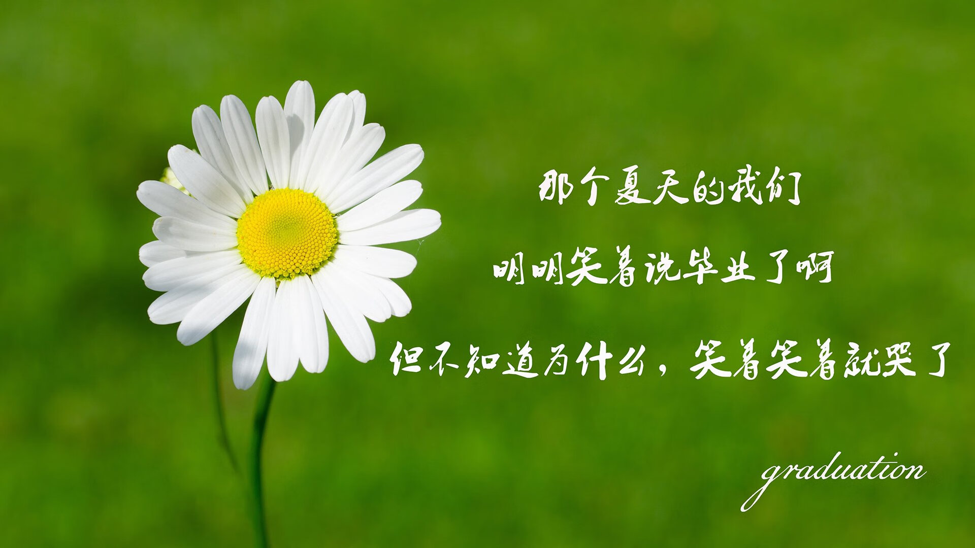 开云官网在线-最震撼的“绝杀”夜：谁书写了欧冠传奇？，欧冠绝杀视频