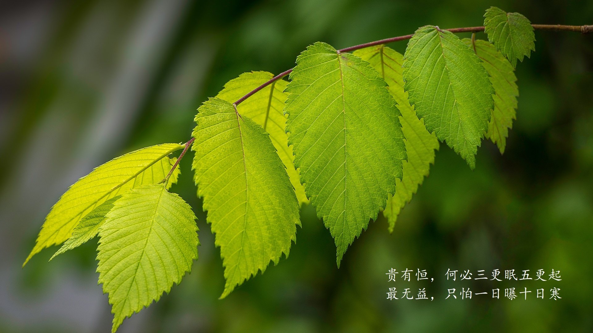 开云体育官方网入口-法甲联赛中场控球率持续提升，比赛理念革新，法甲中场新星