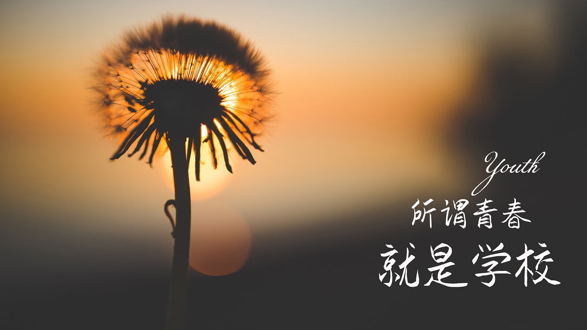 体育类APP用户行为分析报告，体育app市场分析