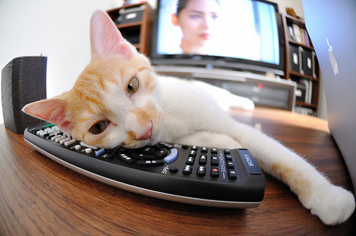 男子篮球注重球员个人技术提升促进全面发展,篮球运动员如何提高身体素质