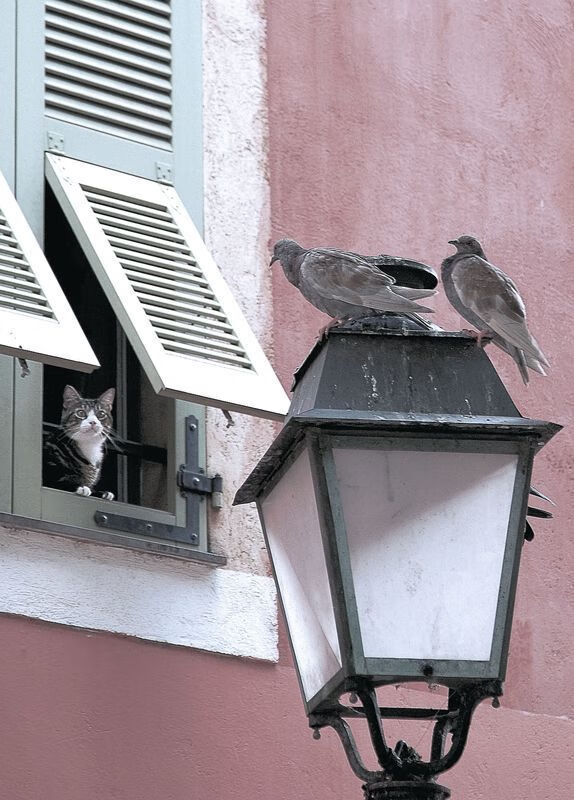 绿色场馆覆盖智能环保系统,推动全球体育绿色低碳行动,绿色场馆建设